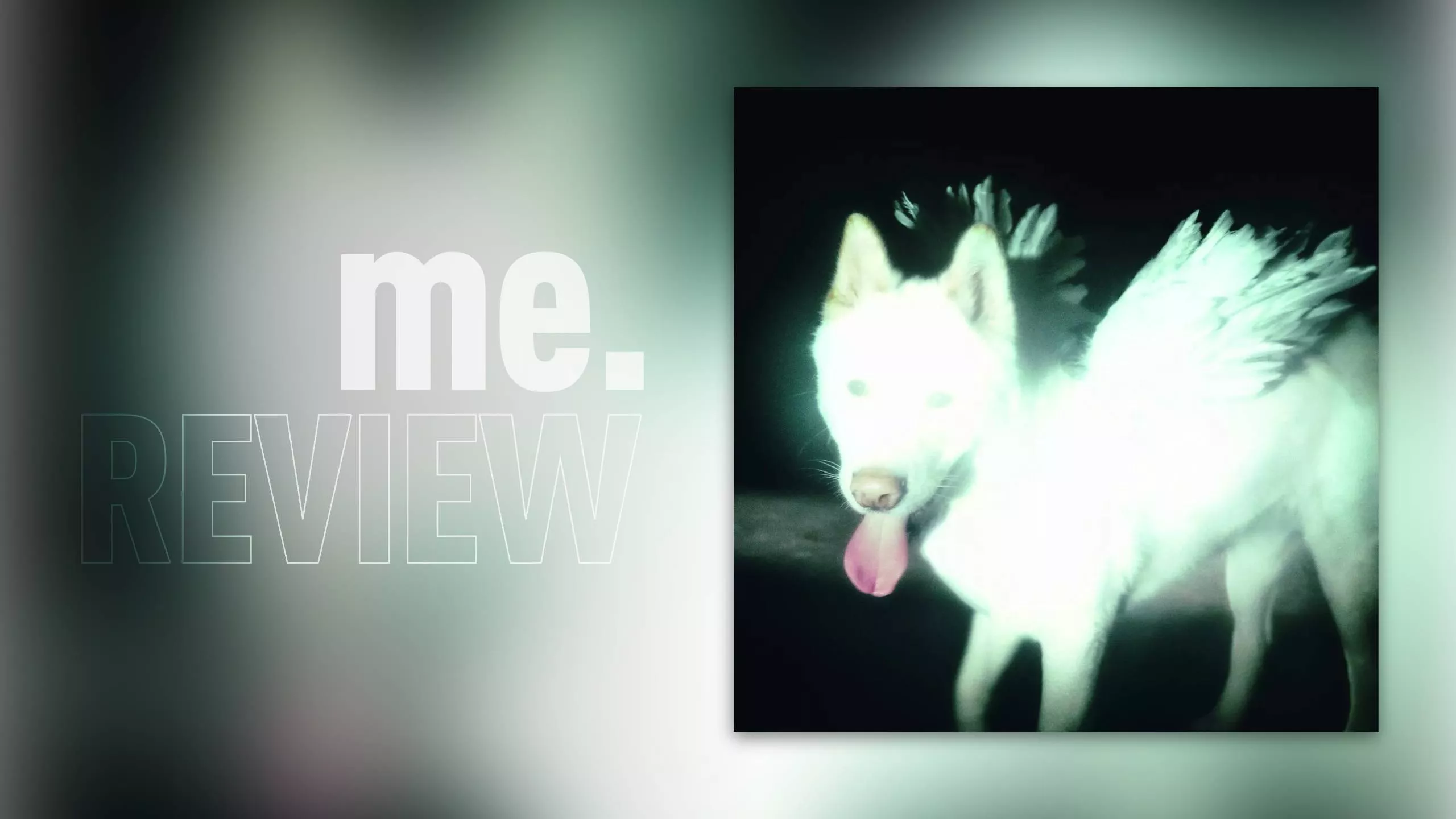 Review: Fat Dog – CANCEL ME (I’M TIRED): Pulp, den Pulp vergaß